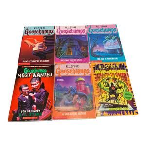 Lot Of 6 Vintage Goosebumps Books R L Stein 1, 13, 16, 25, Fear Street 24 Slappy